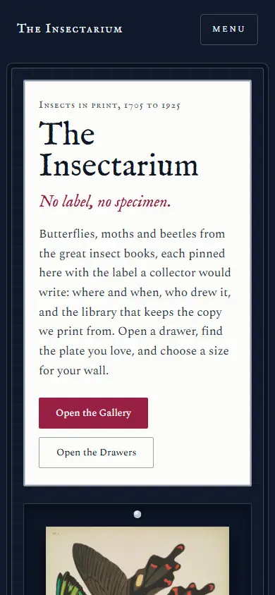 The Insectarium's first screen on a phone, 390 wide.